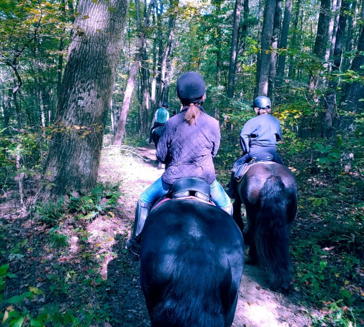 mohican-memorial-state-forest-bridle-trail-parking-photo